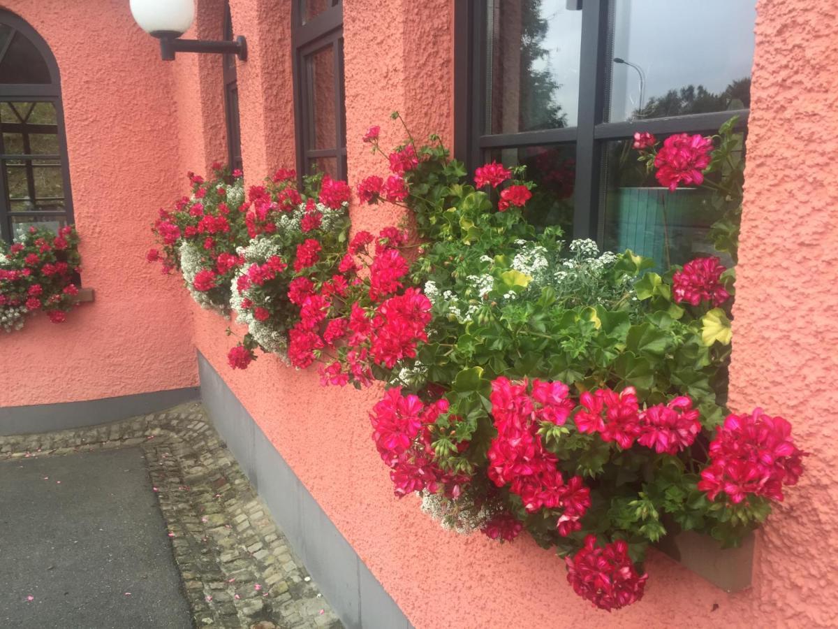 Landhotel Am Wenzelbach Prüm Extérieur photo